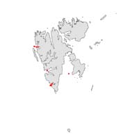 Golfingia margaritacea map